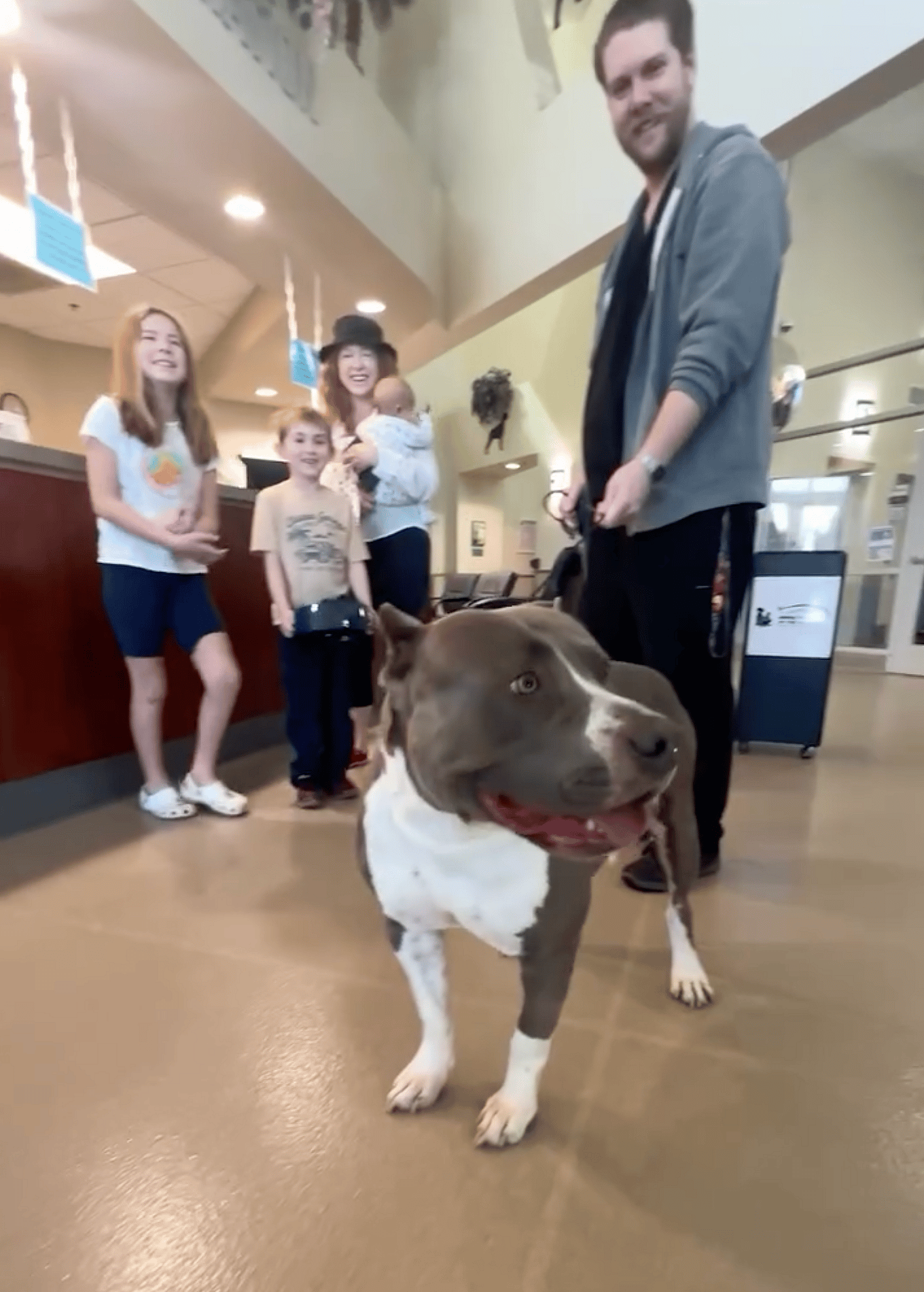 Heartbreak as Dog is Surrendered for Being ‘Too Playful’—But Then Fate Takes an Incredible Turn!